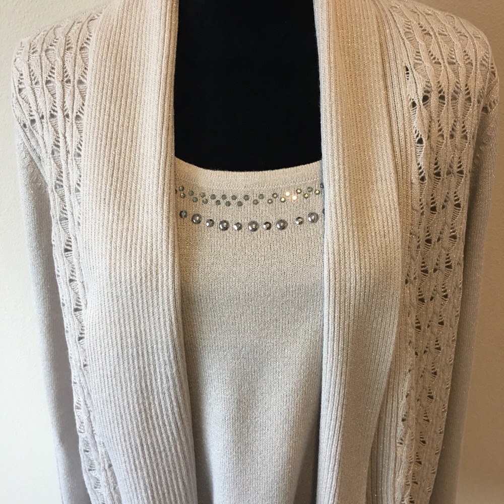 Briggs women’s sweater.  NWOT. XL